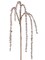 36" Champagne Crystal Iced Branch - Luxurious Christmas Floral Decoration